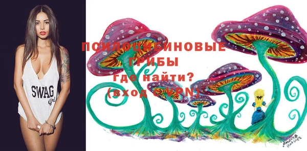 дурь Мегион
