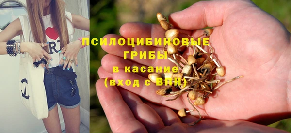 дурь Мегион