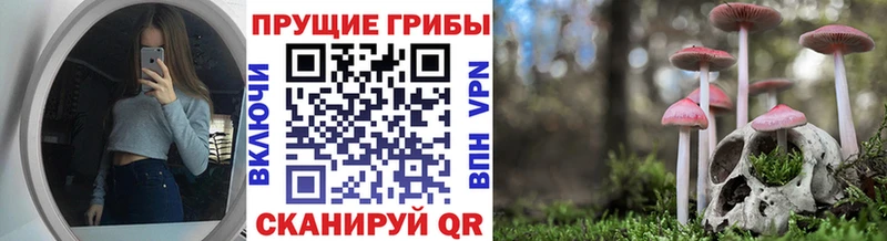 Галлюциногенные грибы мухоморы  хочу наркоту  Грозный 