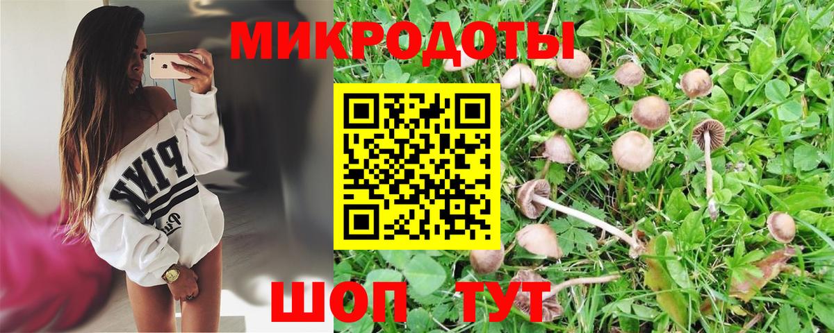 Псилоцибиновые грибы Cubensis Грозный