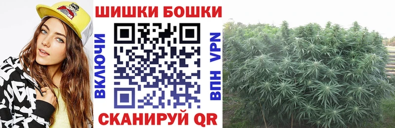 Бошки марихуана Amnesia Грозный