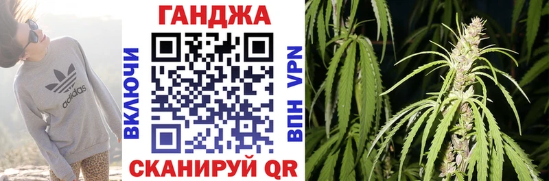 Конопля план  где купить   Грозный 